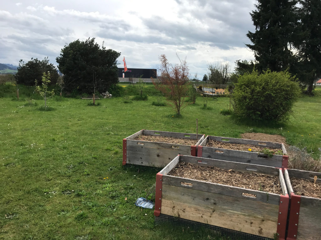 Biodiversité au jardin - laisser des herbes hautes faire leur cycle de vie. Image 2